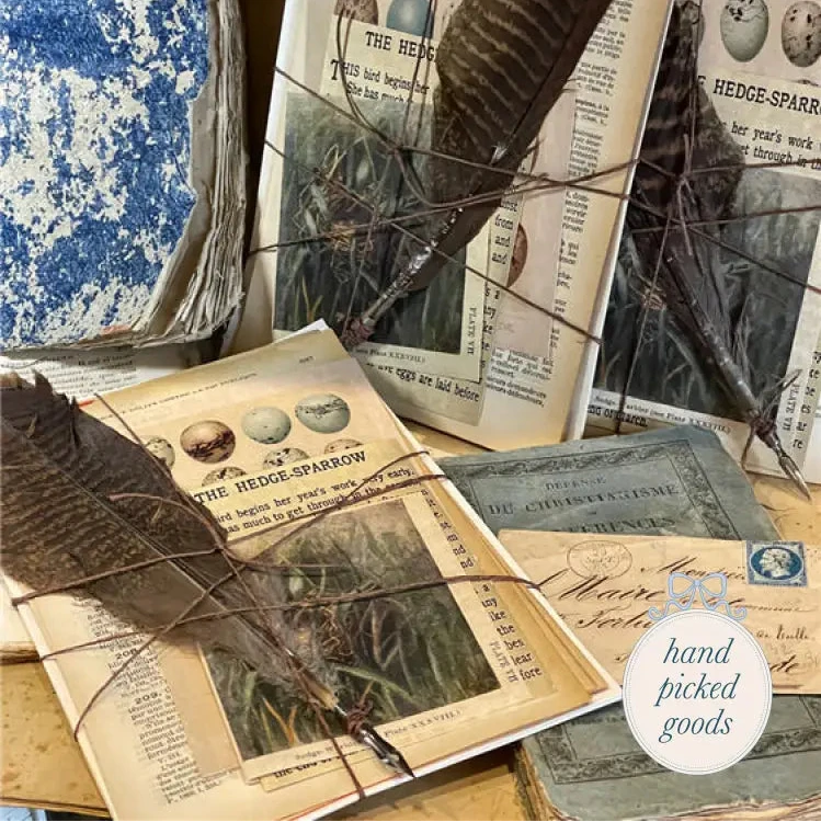 Egg Plate Stationery Stationery and gift - Stationery