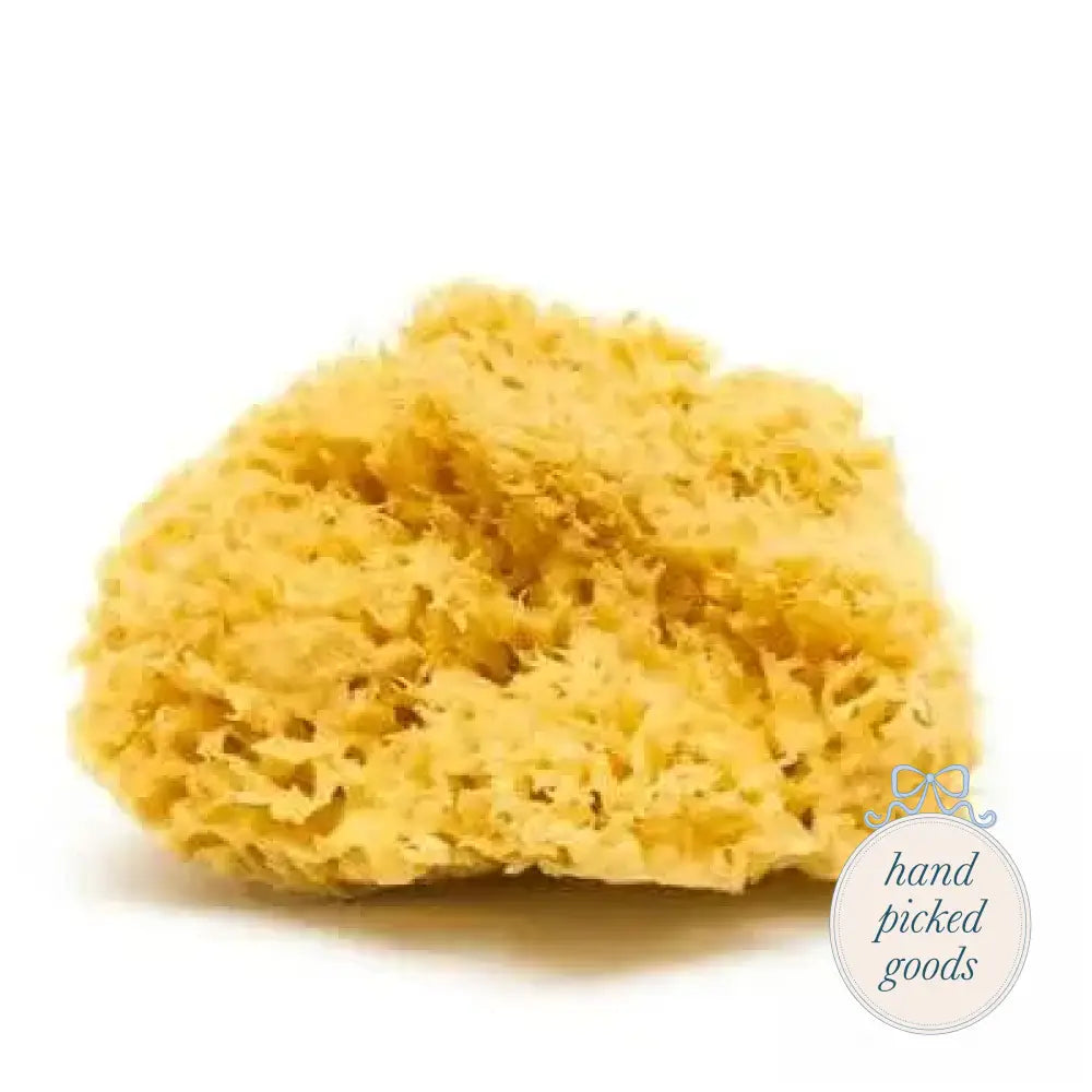 Natural Sea Sponge Small Femme - Face and Body