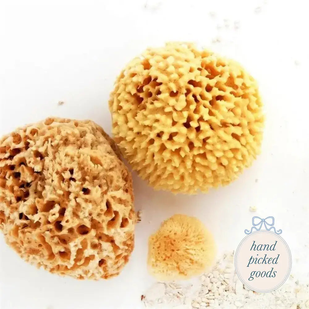 Natural Sea Sponge Small Femme - Face and Body